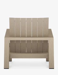 Adym Indoor / Outdoor Accent Chair