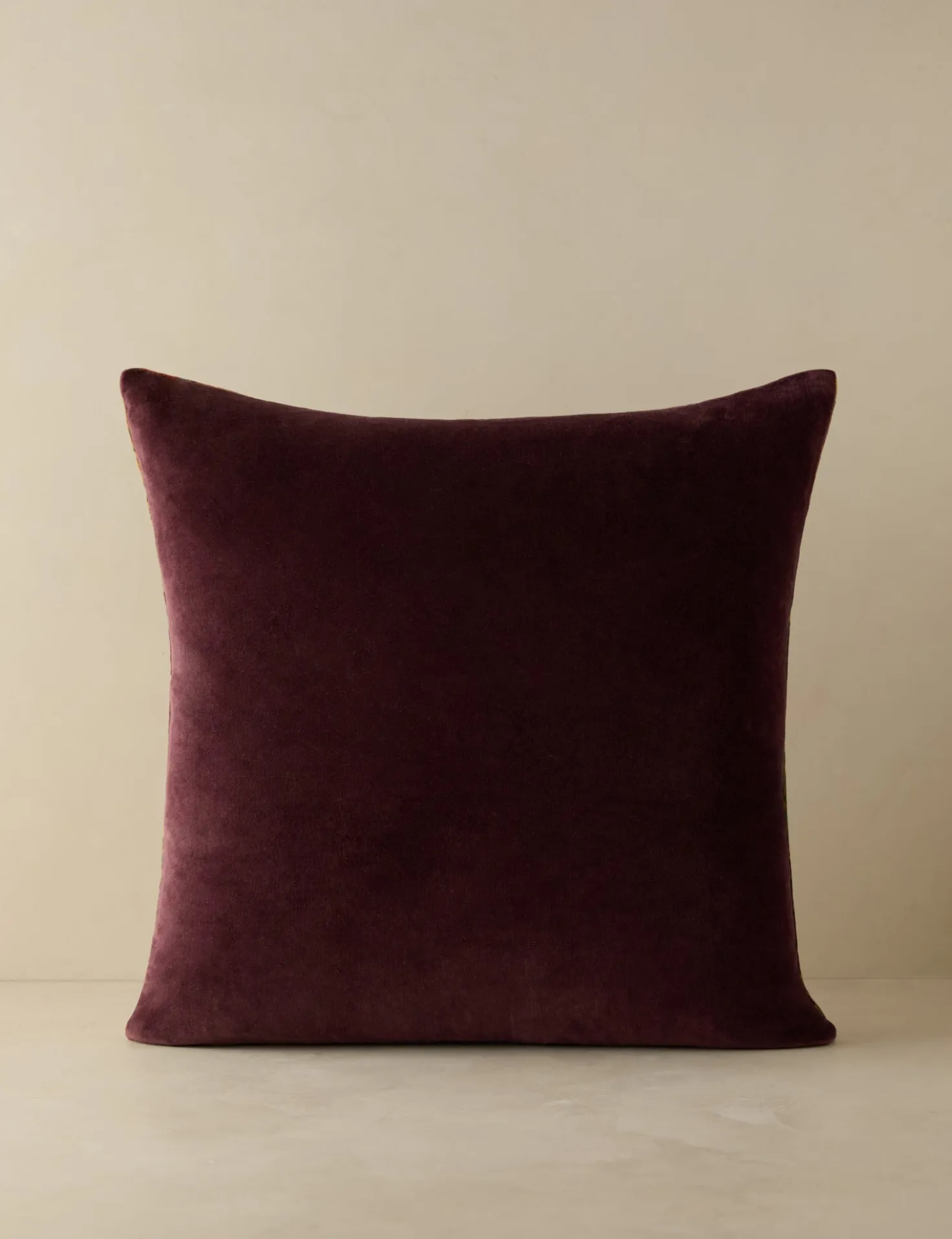 Agnetha Velvet Pillow