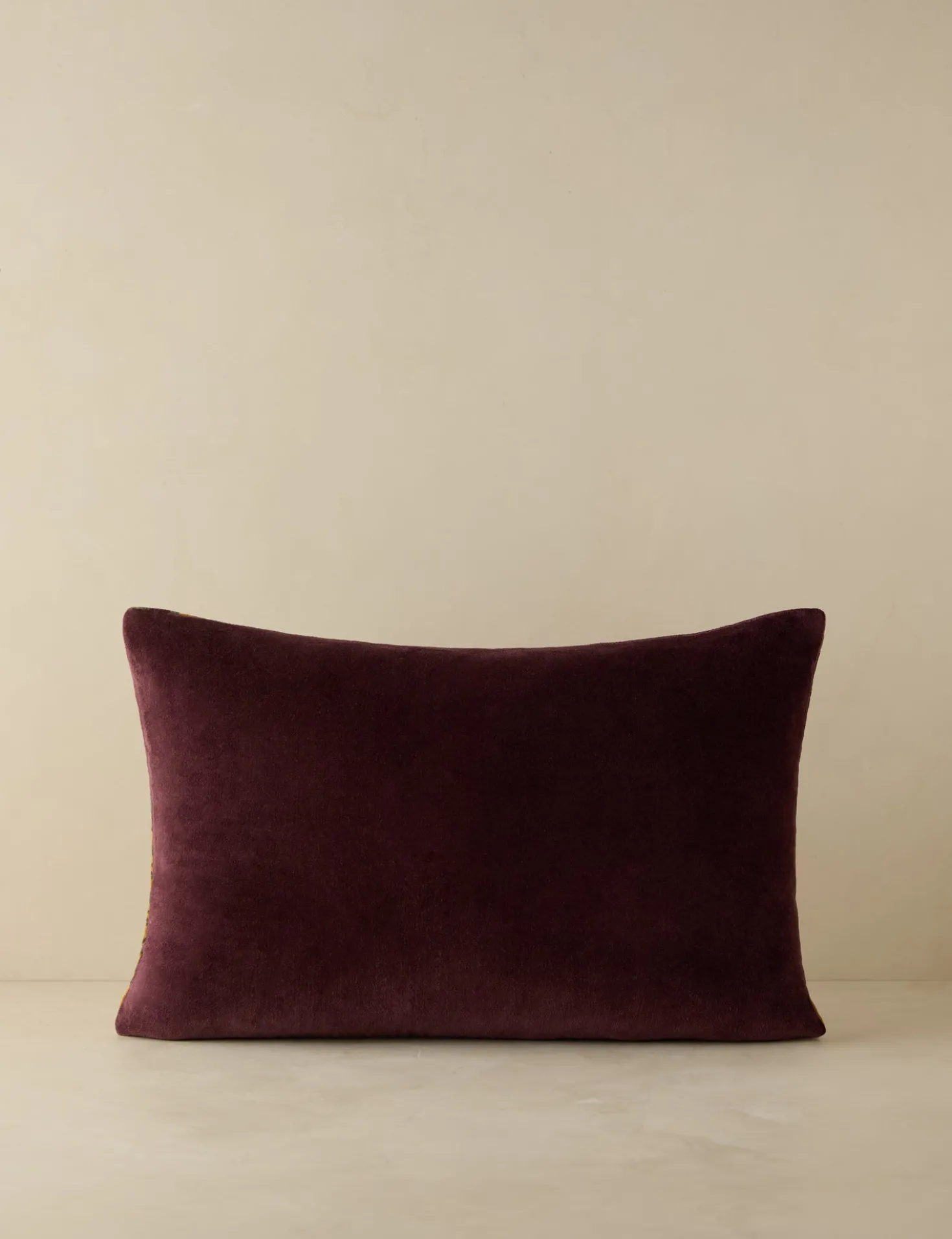 Agnetha Velvet Pillow