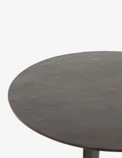 Alethea Indoor / Outdoor Side Table