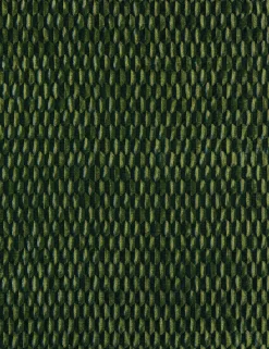 Allegra Velvet Fabric by Scalamandre