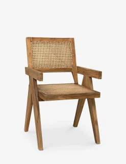Alvi Dining Chair