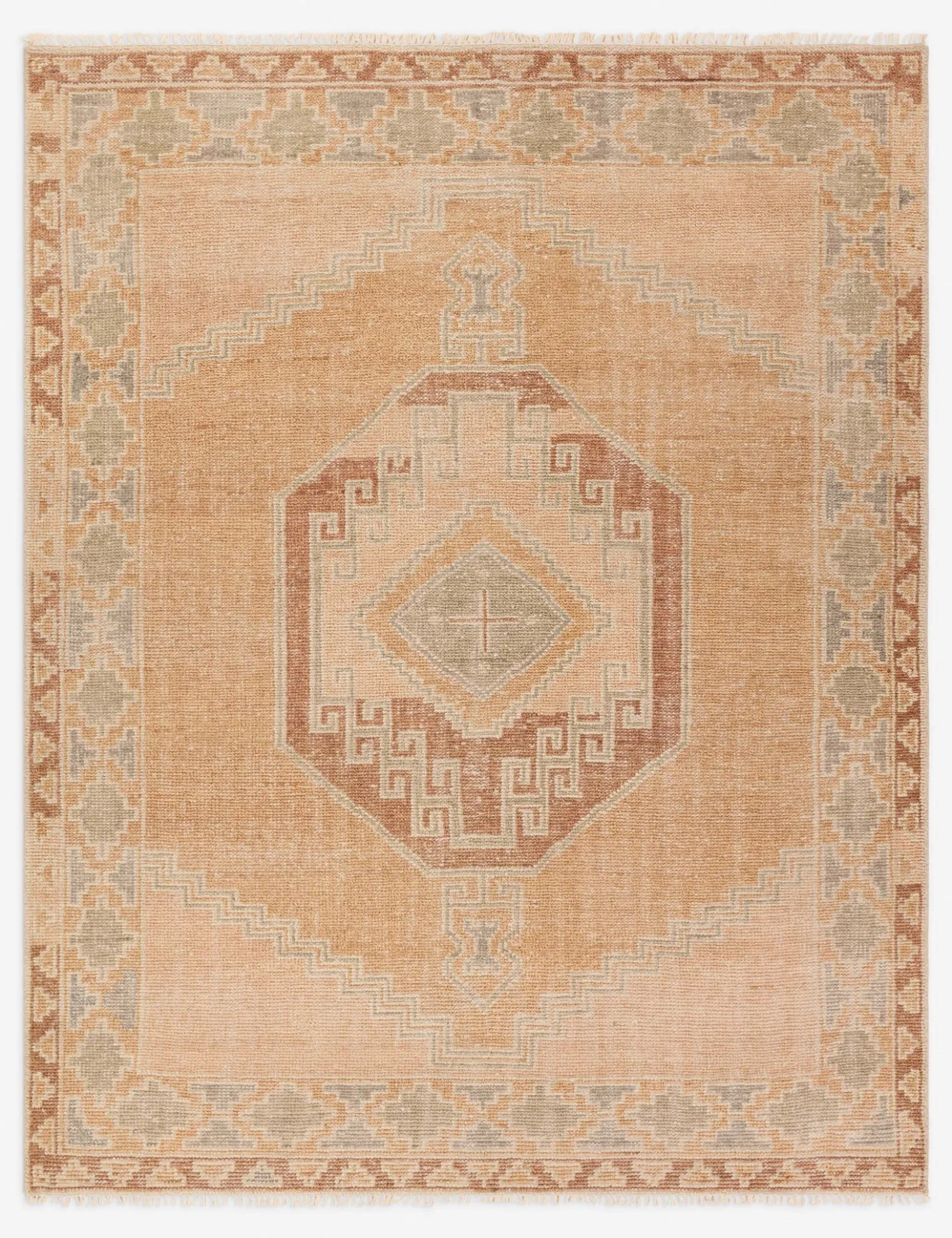 Ambretta Hand-Knotted Wool Rug