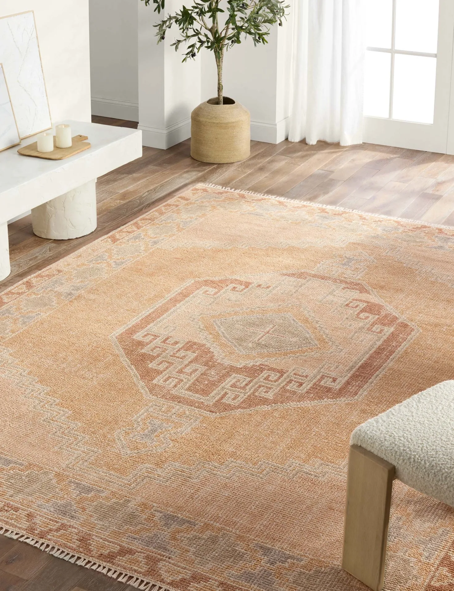 Ambretta Hand-Knotted Wool Rug