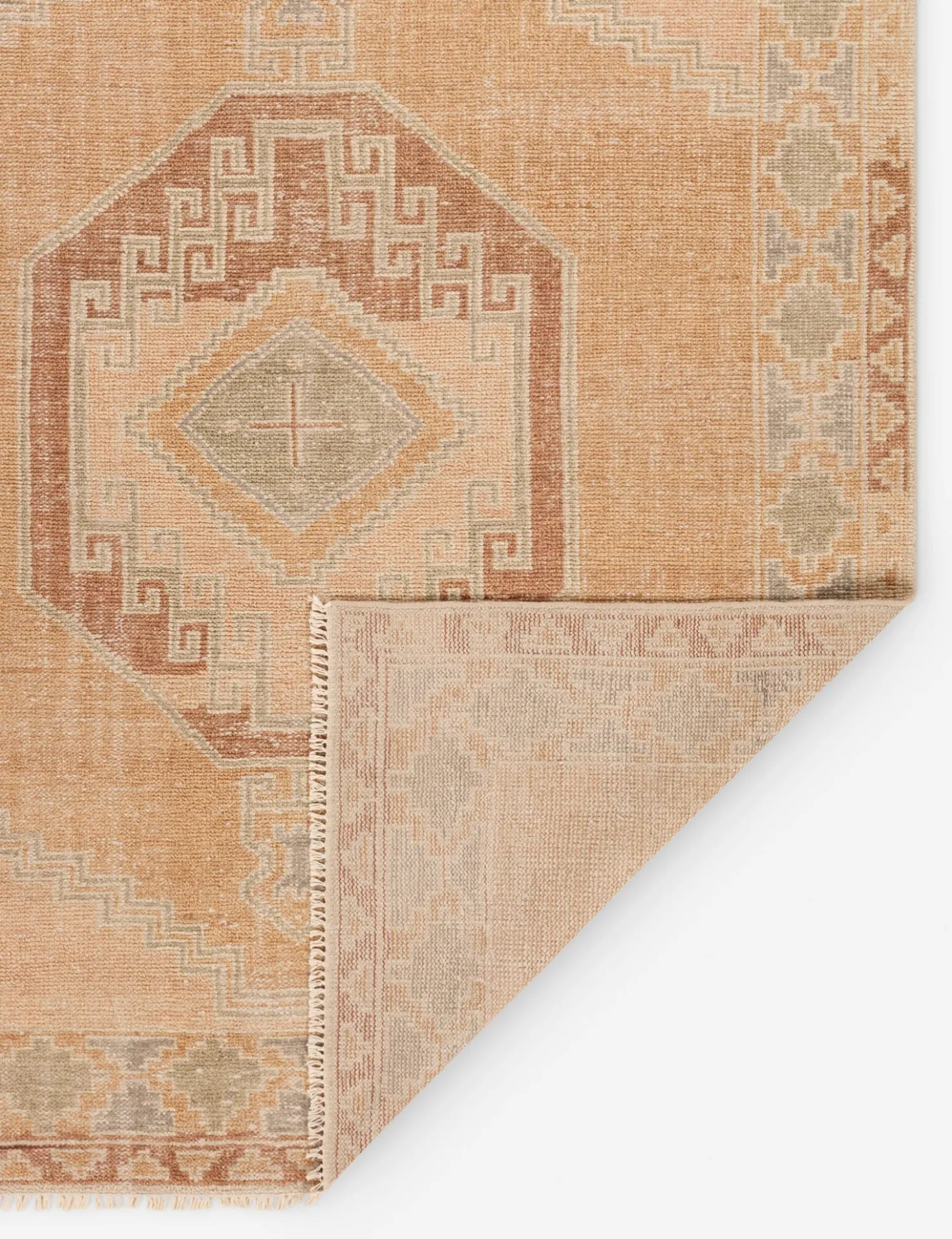 Ambretta Hand-Knotted Wool Rug