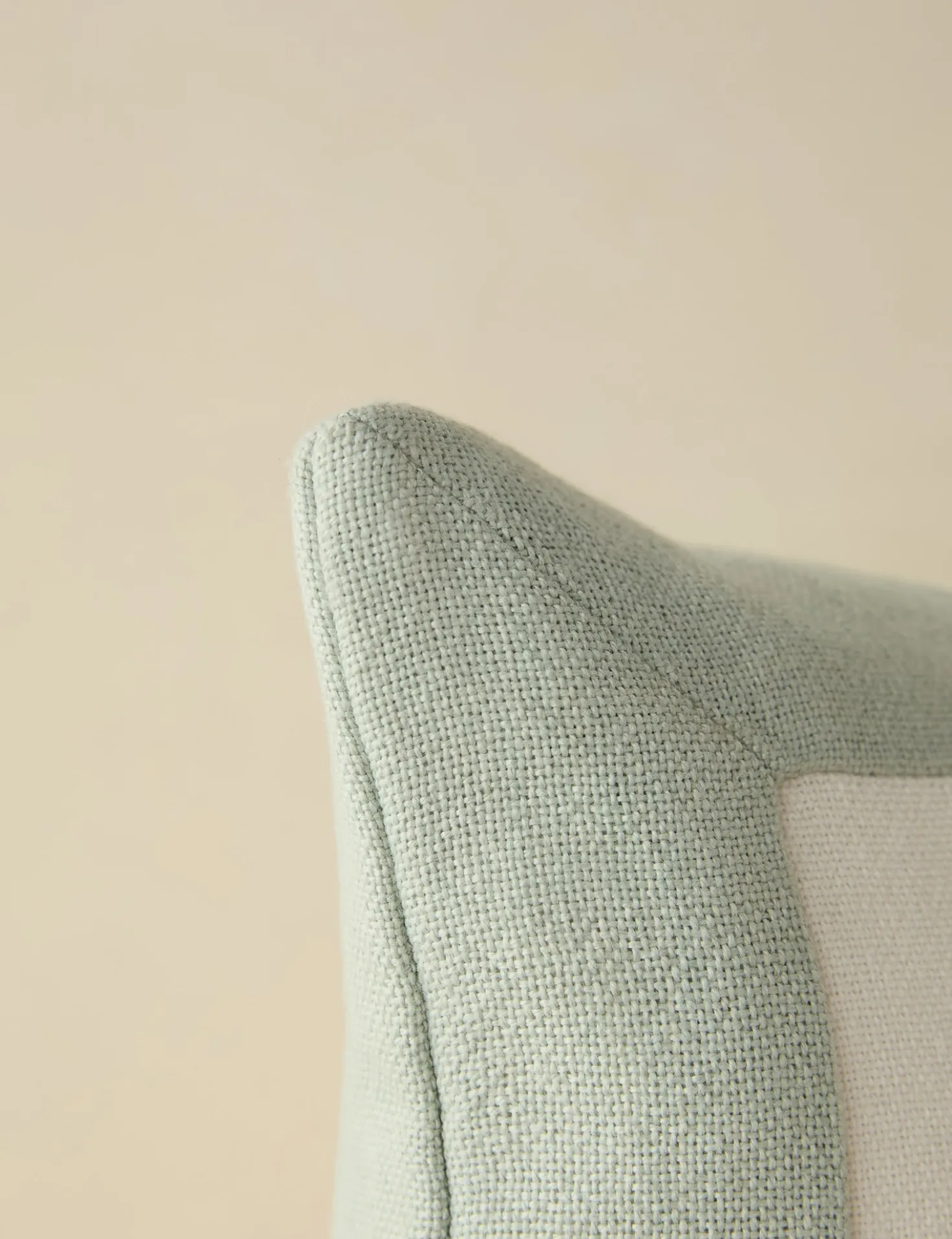 Amica Indoor / Outdoor Pillow