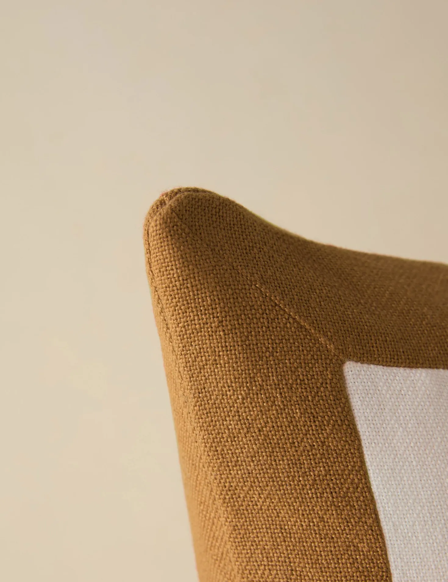 Amica Indoor / Outdoor Pillow