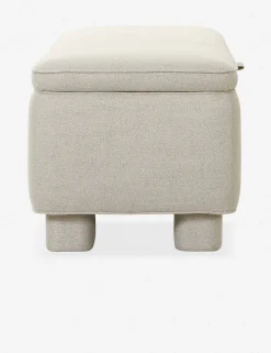 Asner Storage Bench