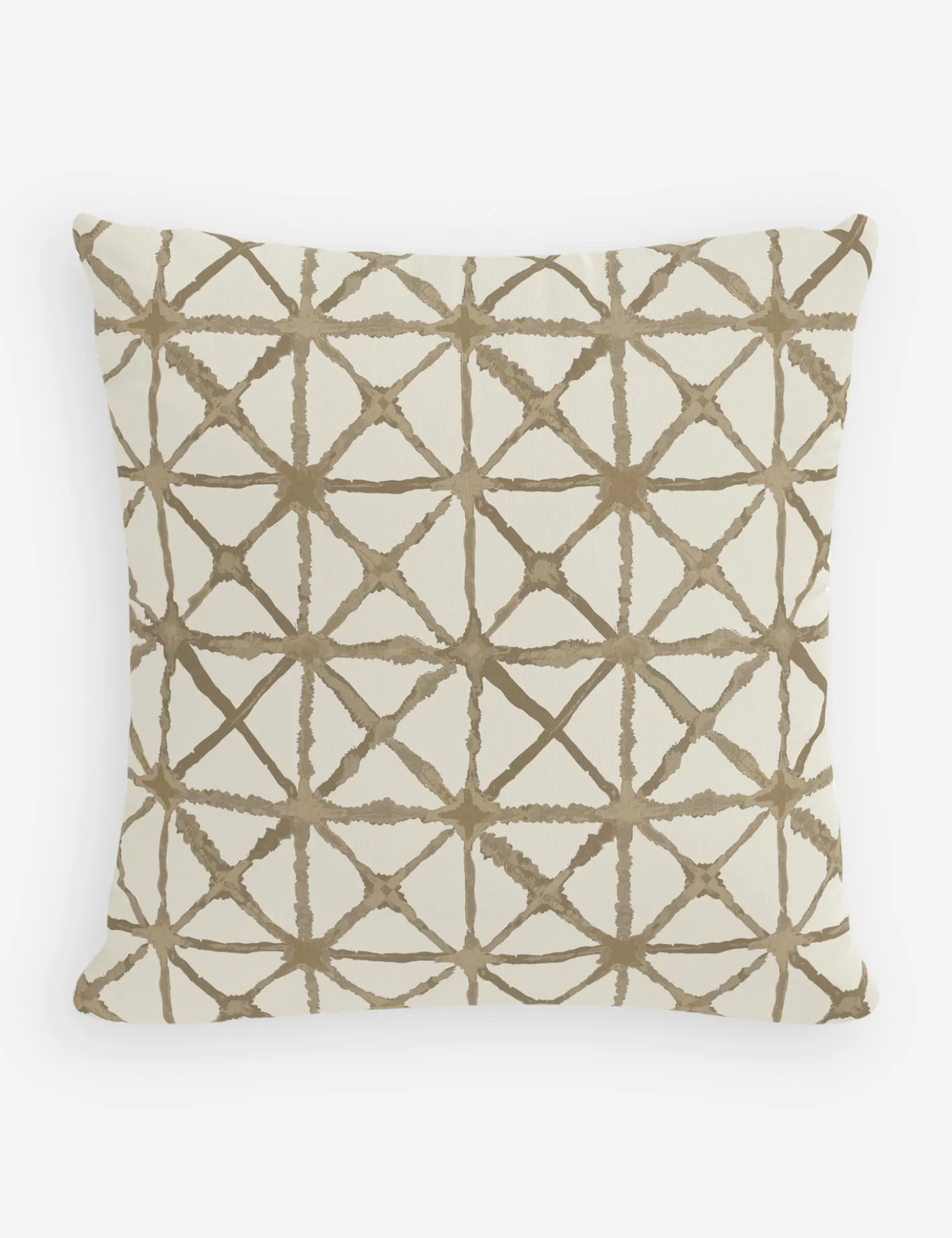 Azara Indoor / Outdoor Pillow