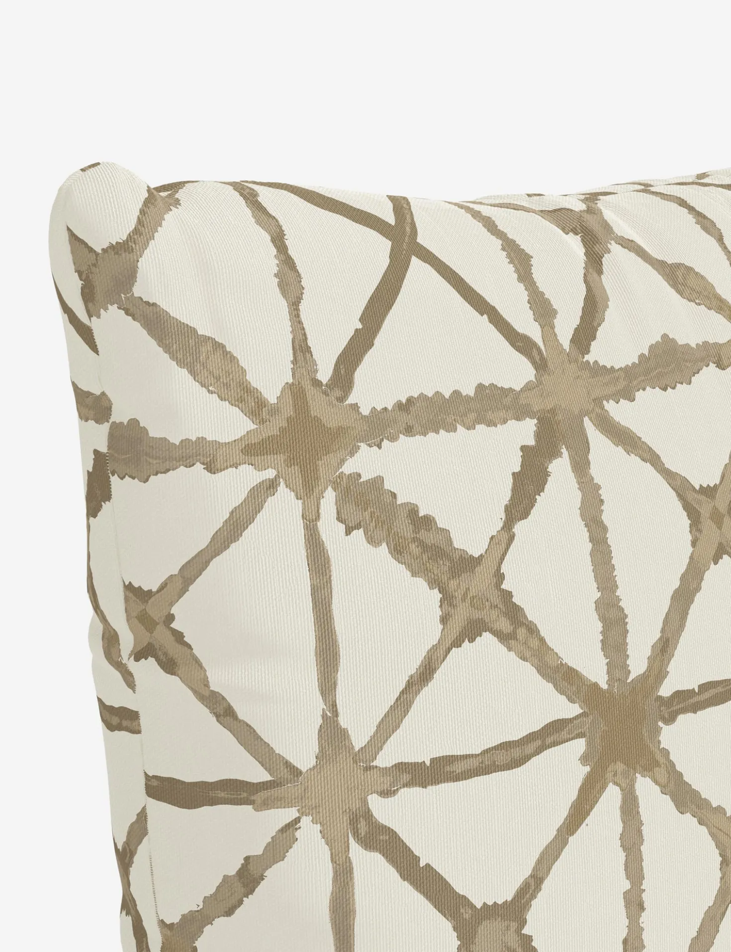 Azara Indoor / Outdoor Pillow