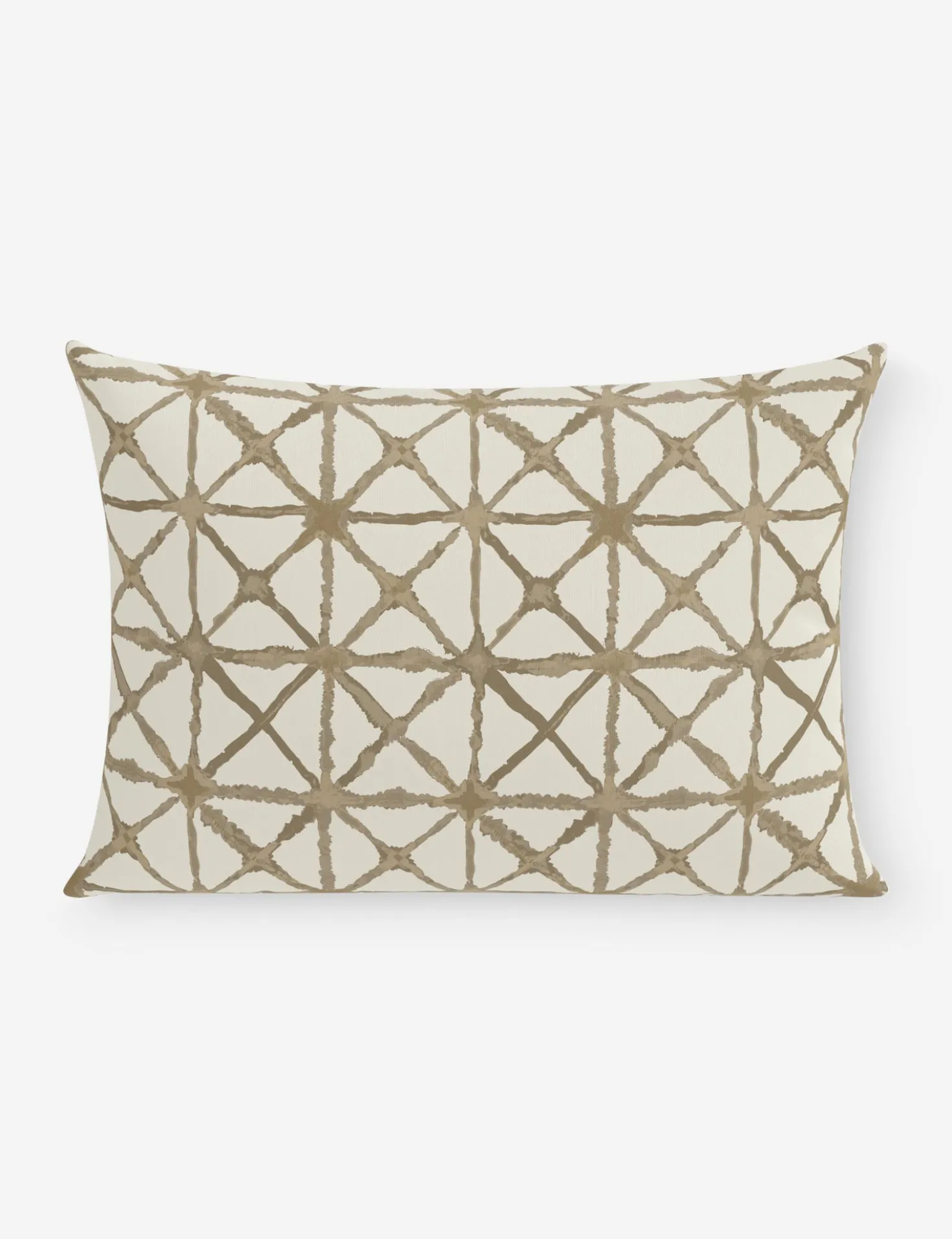 Azara Indoor / Outdoor Pillow