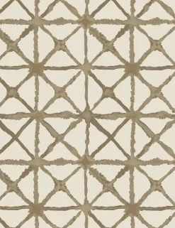 Azara Indoor / Outdoor Pillow