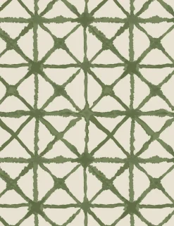 Azara Indoor / Outdoor Pillow