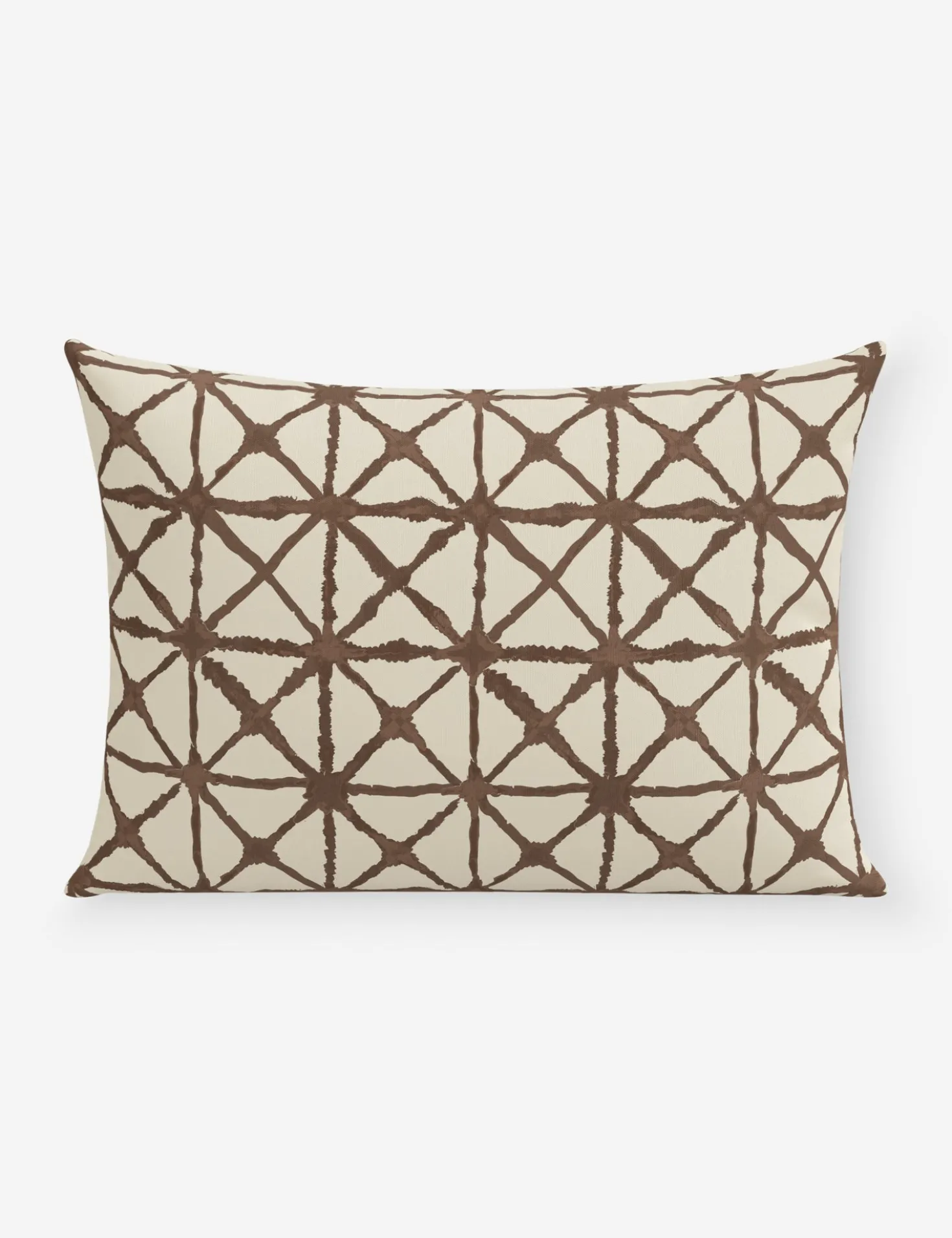 Azara Indoor / Outdoor Pillow