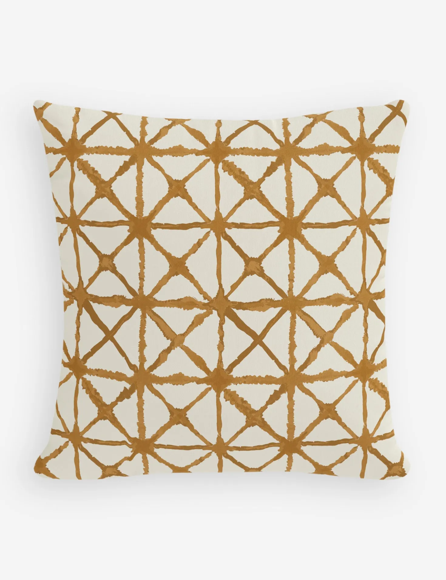 Azara Indoor / Outdoor Pillow