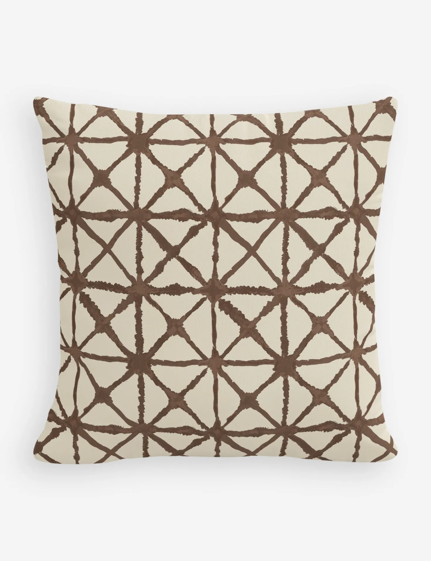 Azara Indoor / Outdoor Pillow
