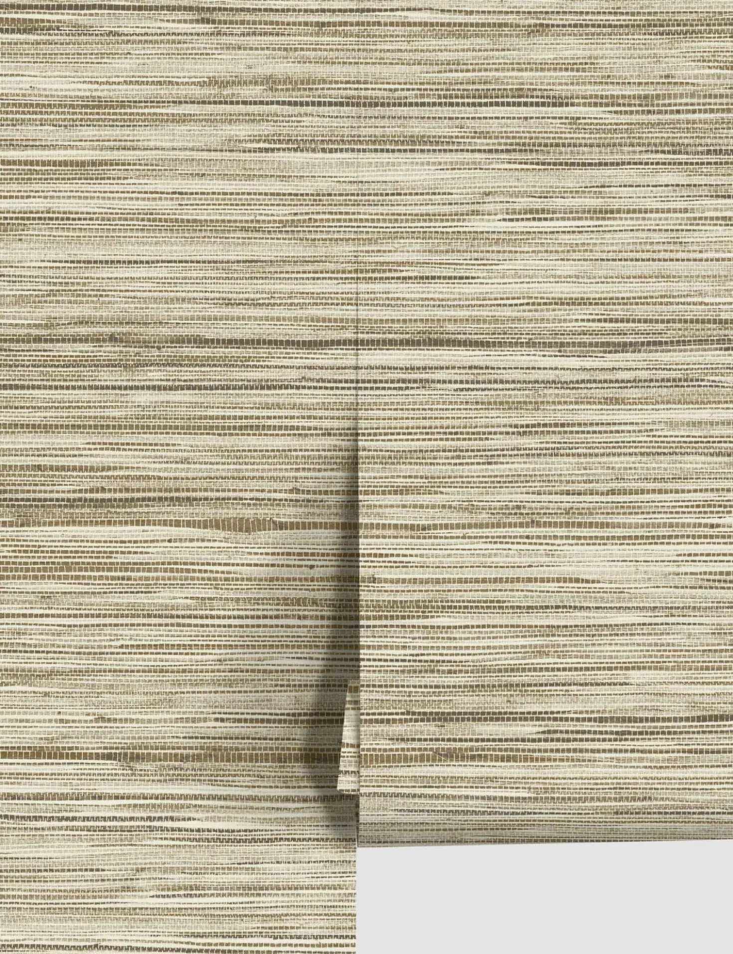 Bahiagrass Premium Peel + Stick Wallpaper