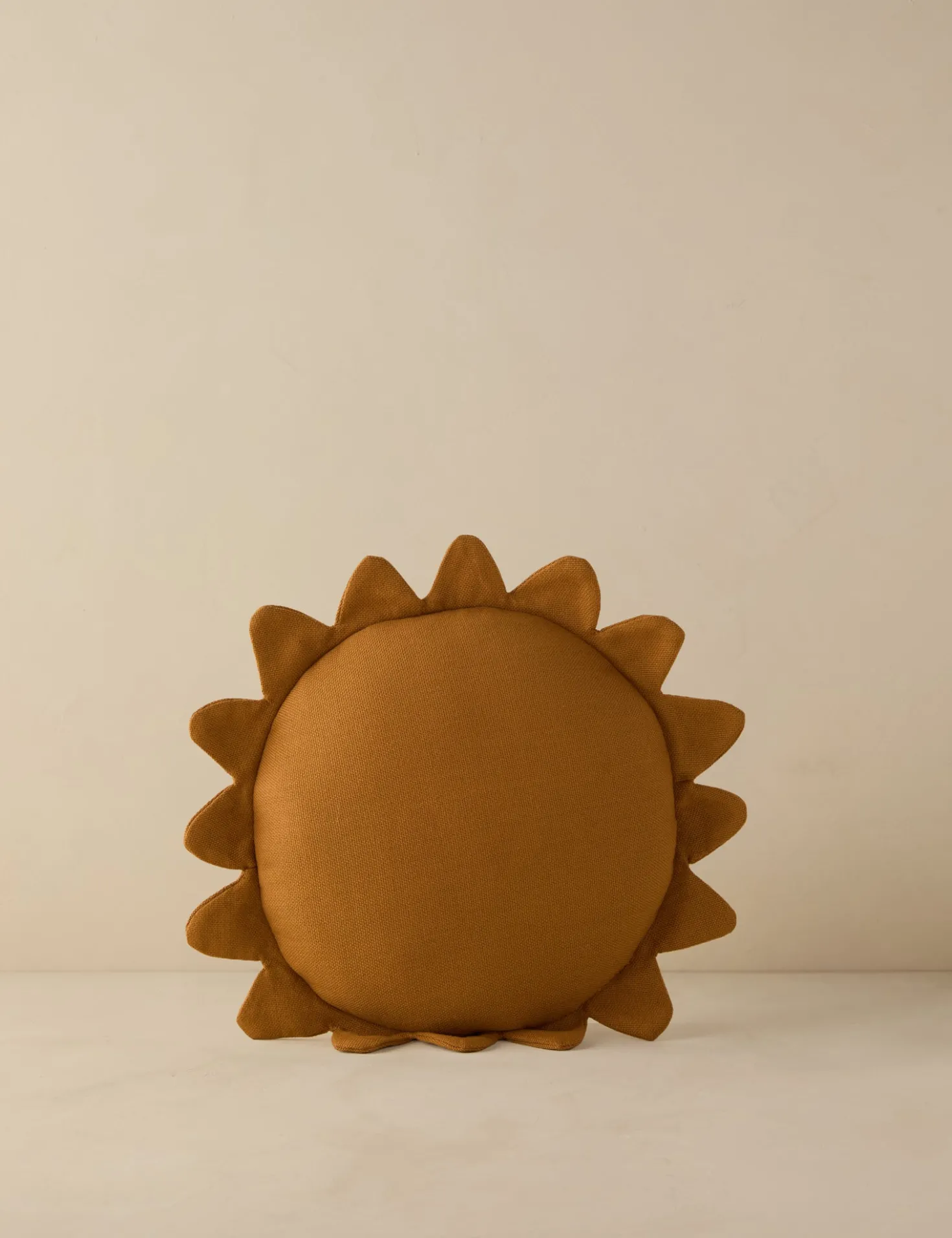 Bassani Indoor / Outdoor Round Pillow