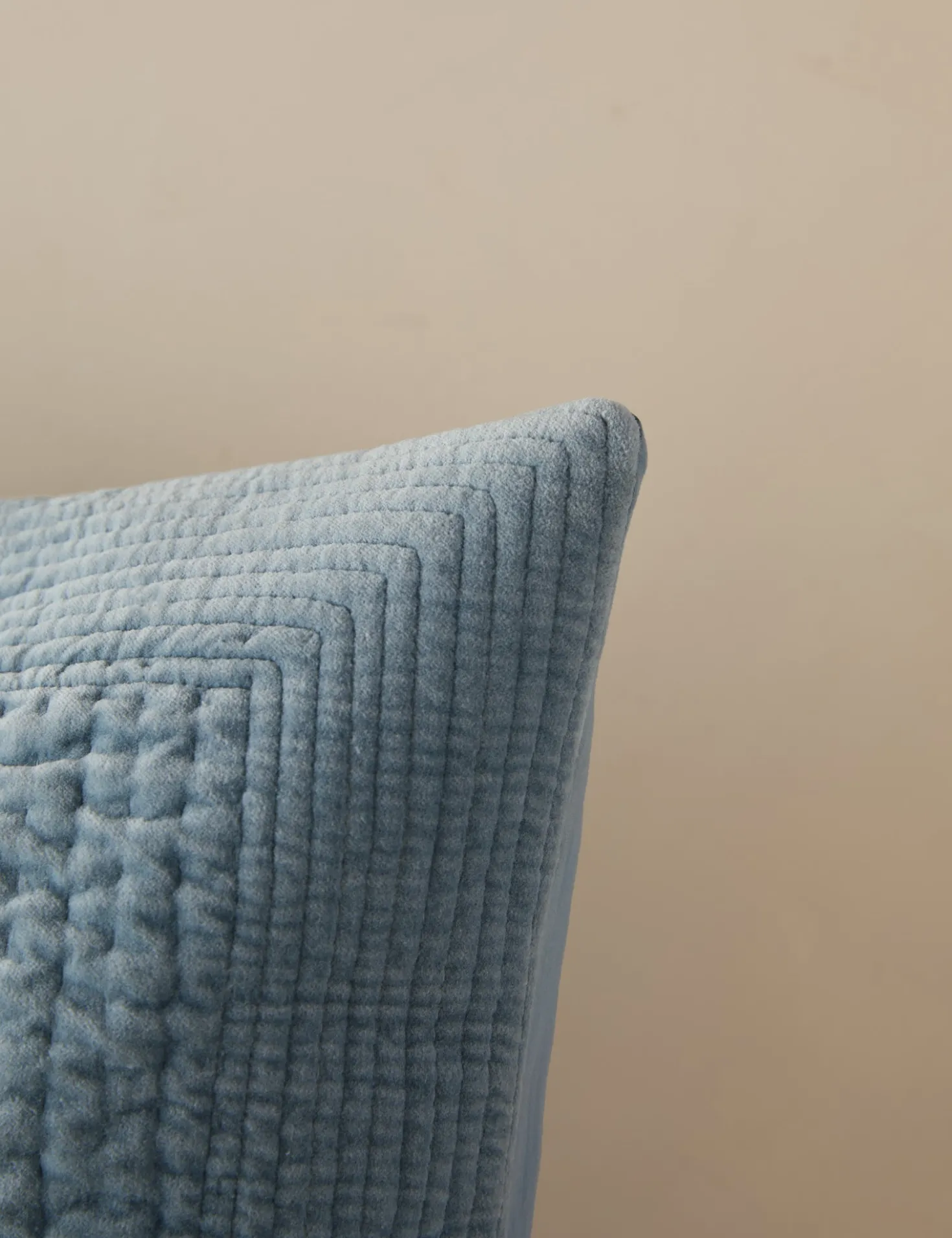 Bloomfield Velvet Sham