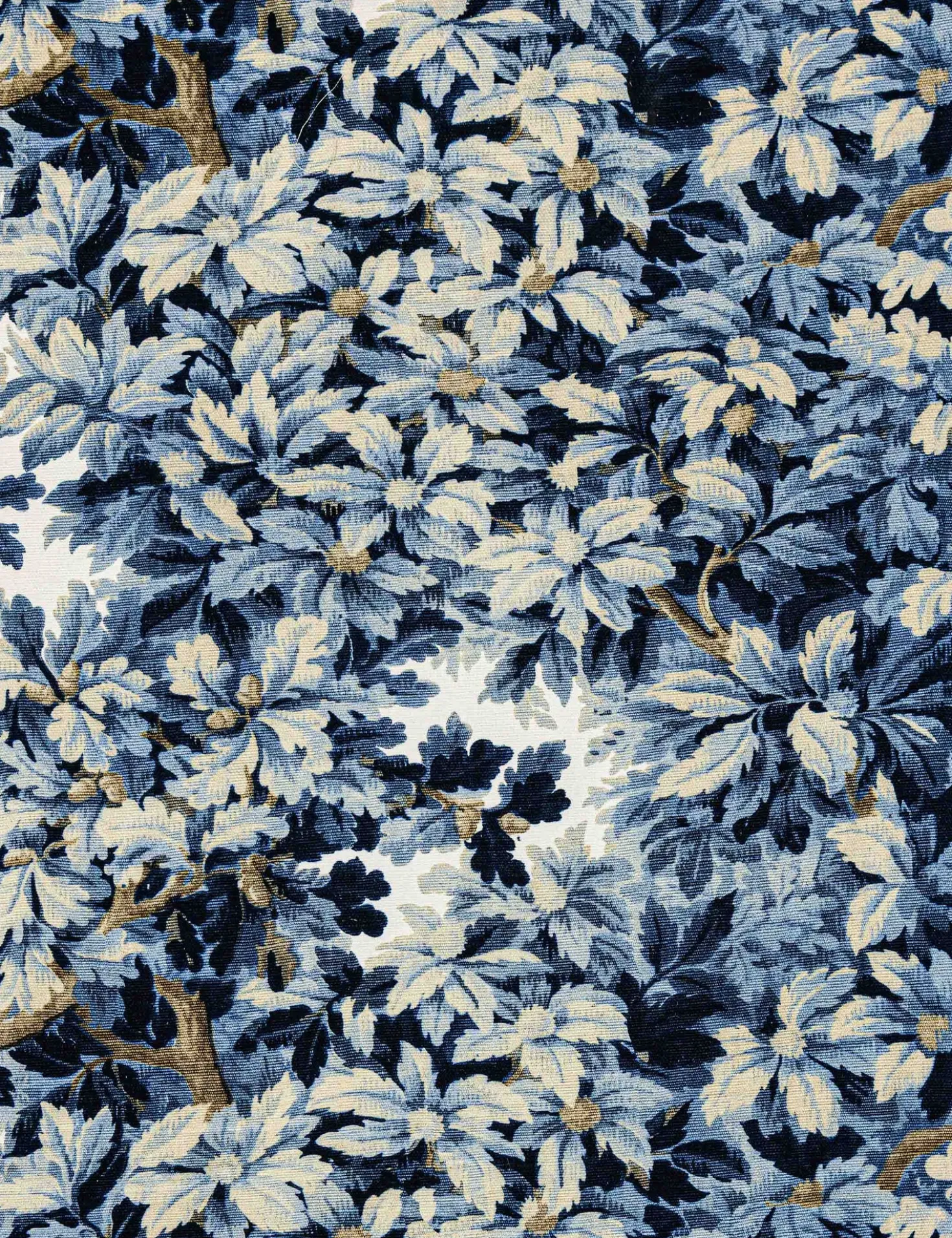 Bois de Chene Cotton Fabric by Scalamandré