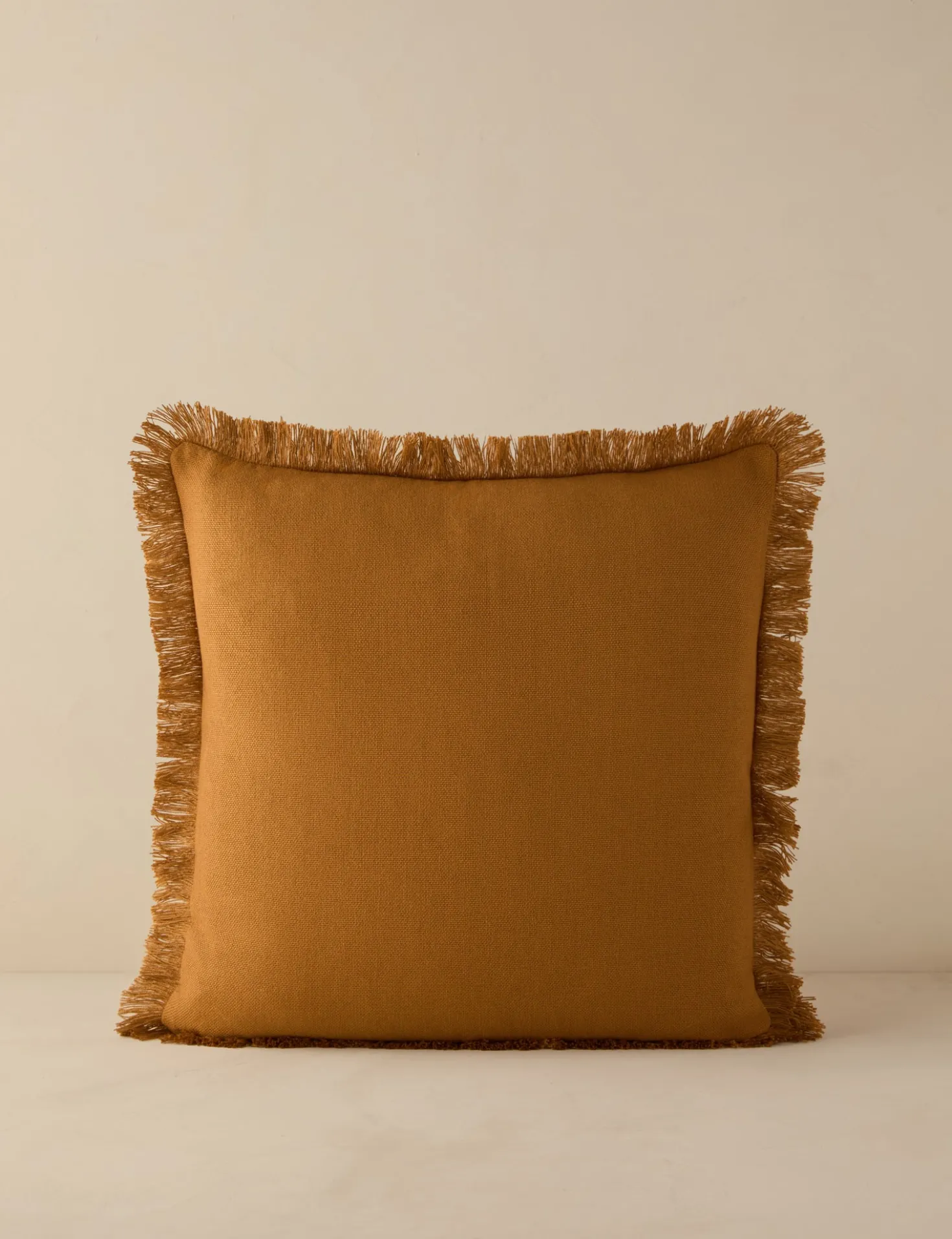 Bosmont Indoor / Outdoor Pillow