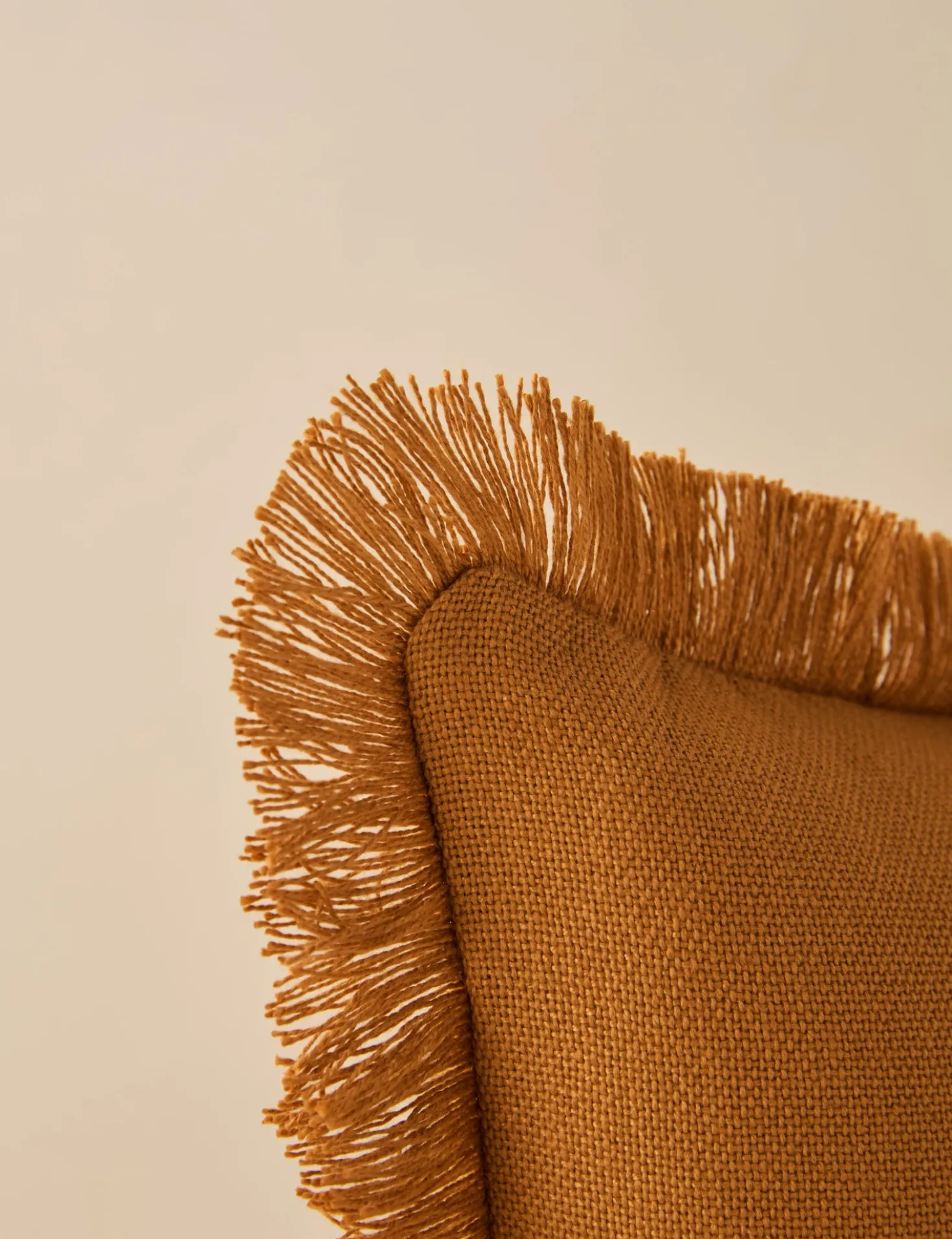 Bosmont Indoor / Outdoor Pillow