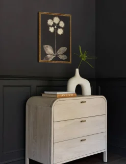 Botanical Photogram Print