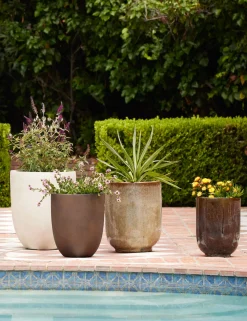 Bradford Planters by Campania International