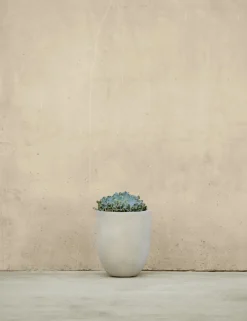 Bradford Planters by Campania International