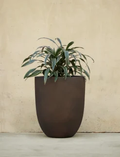 Bradford Planters by Campania International