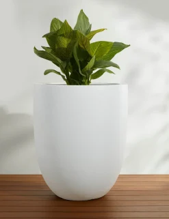 Bradford Planters by Campania International