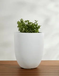 Bradford Planters by Campania International