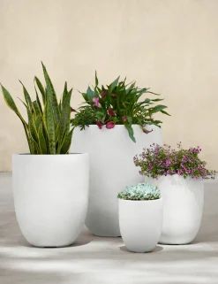 Bradford Planters by Campania International
