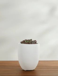 Bradford Planters by Campania International