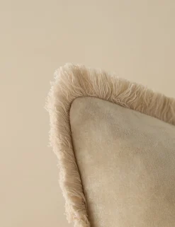 Brandis Velvet Pillow