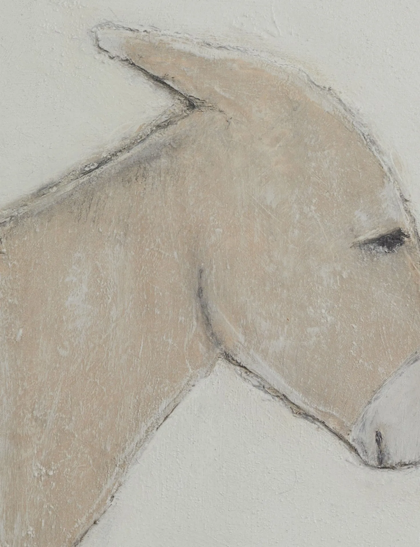 Burro Dia Wall Art by Paul Meyer
