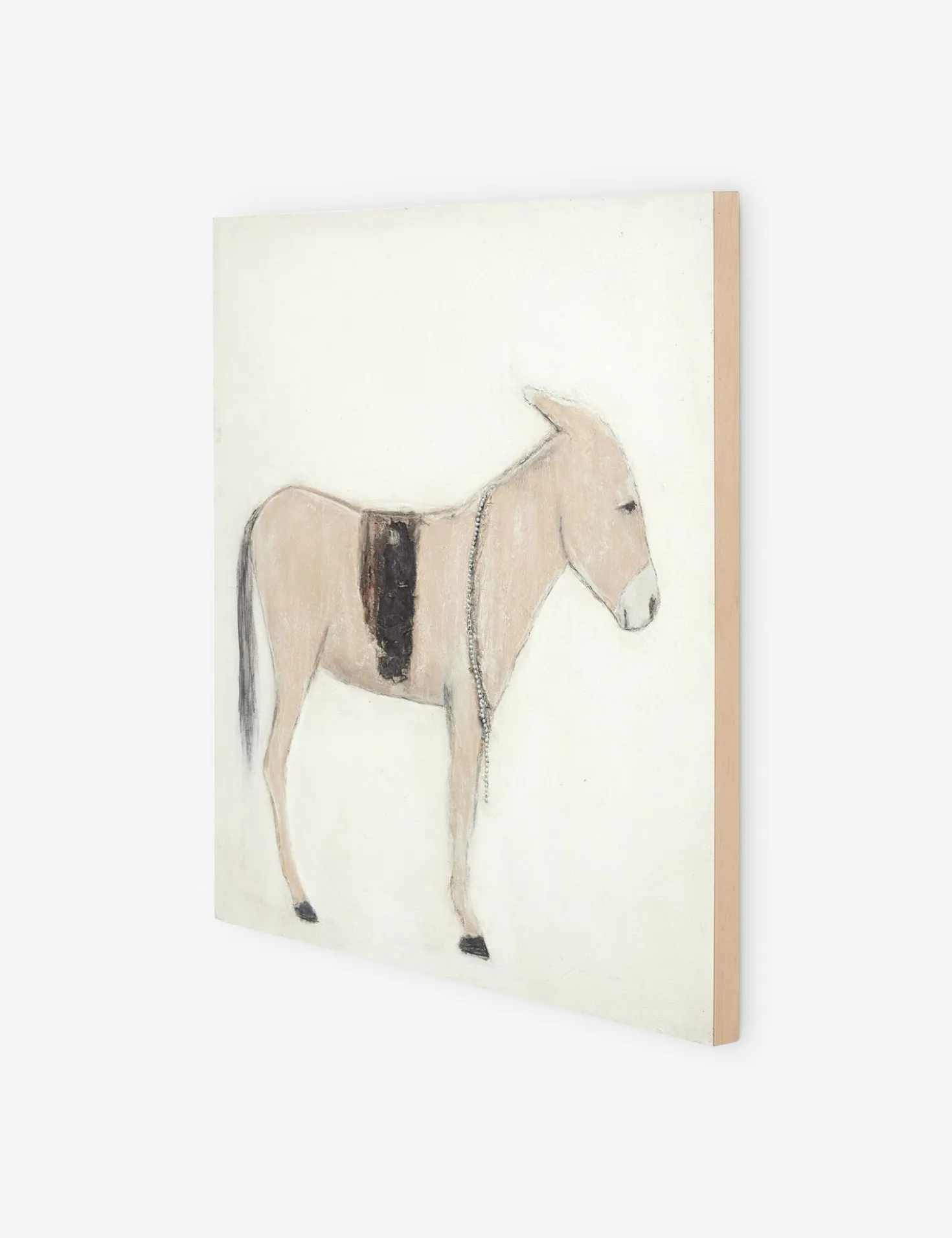 Burro Dia Wall Art by Paul Meyer