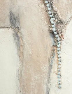 Burro Dia Wall Art by Paul Meyer