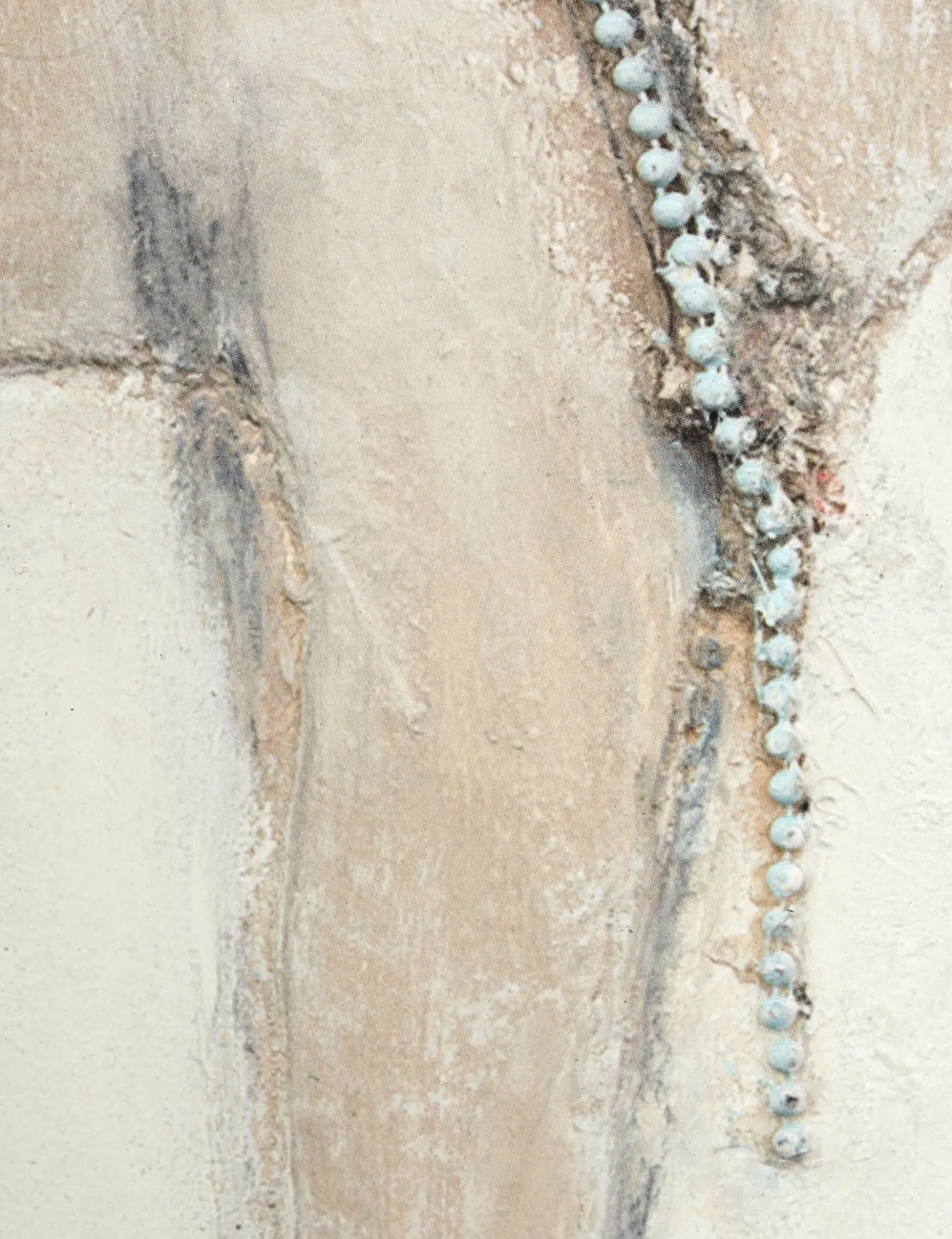 Burro Dia Wall Art by Paul Meyer