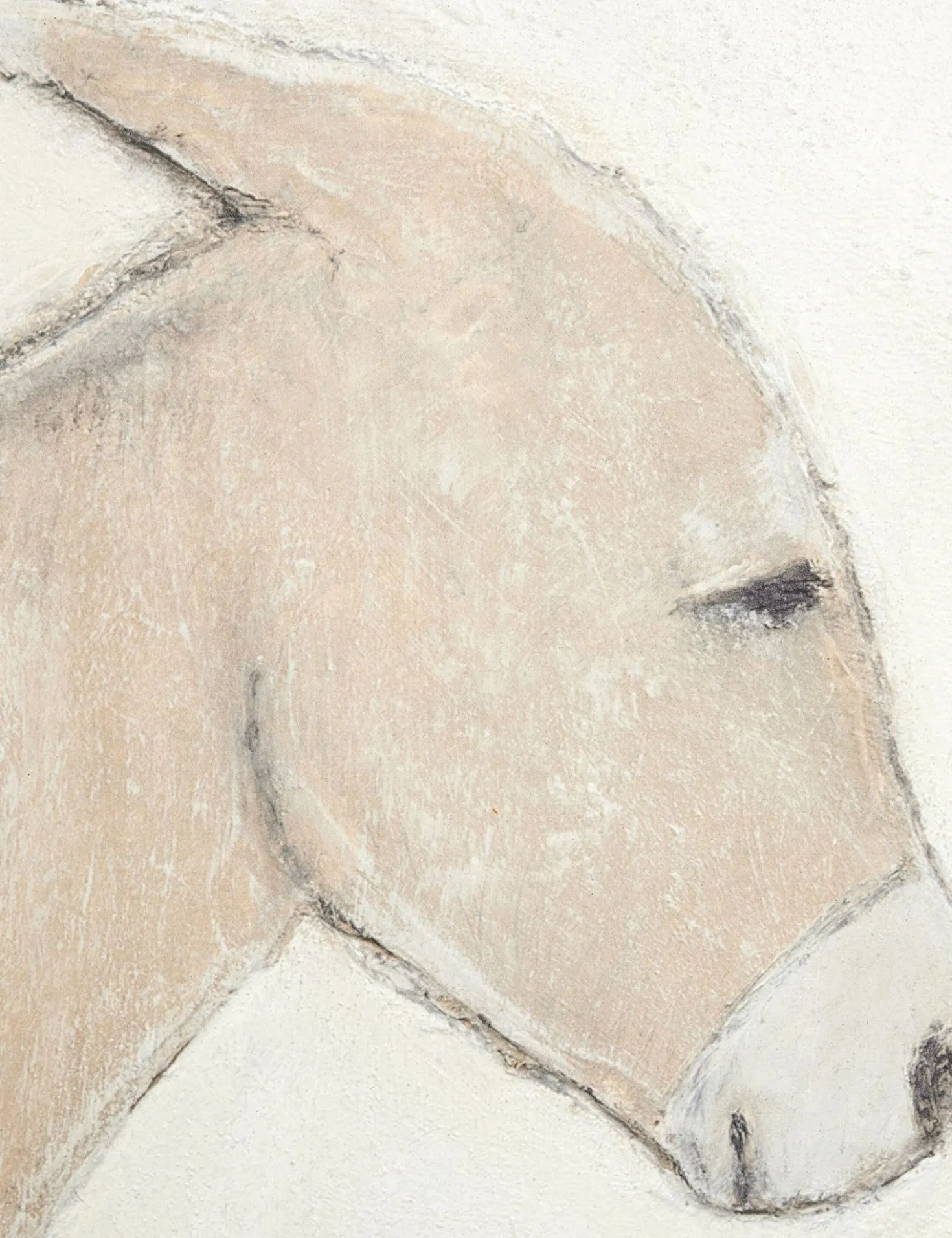 Burro Dia Wall Art by Paul Meyer