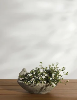 Cast Stone Tabletop Planters by Campania International