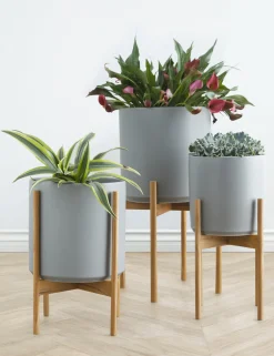 Ceramic Planter Pot + Teak Stand by LBE Design