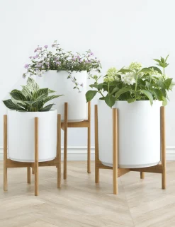 Ceramic Planter Pot + Teak Stand by LBE Design