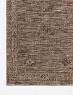 Cortina Indoor / Outdoor Rug