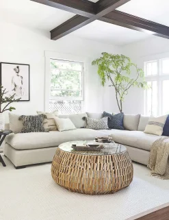 Decima Sectional Sofa