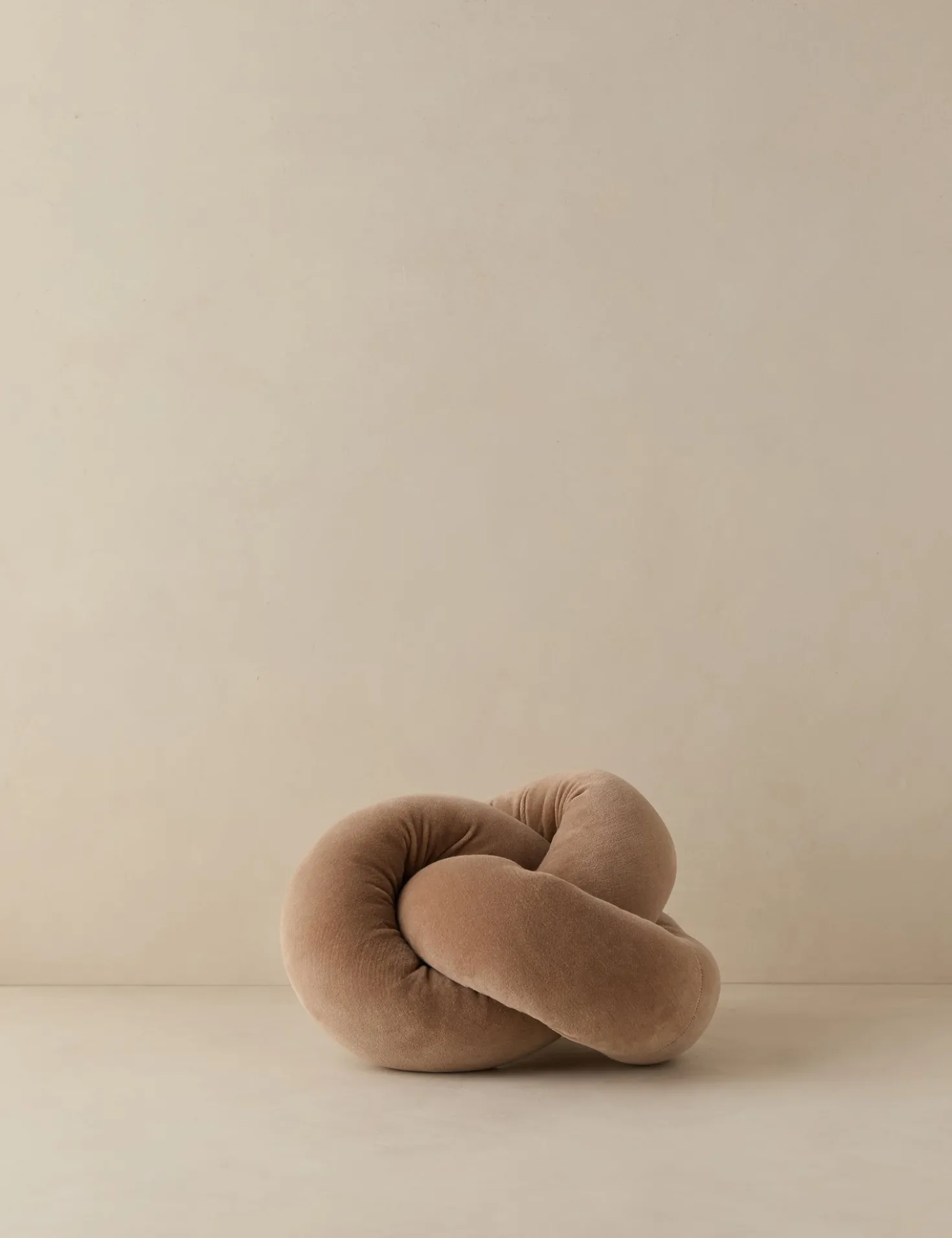 Dewey Velvet Pillow