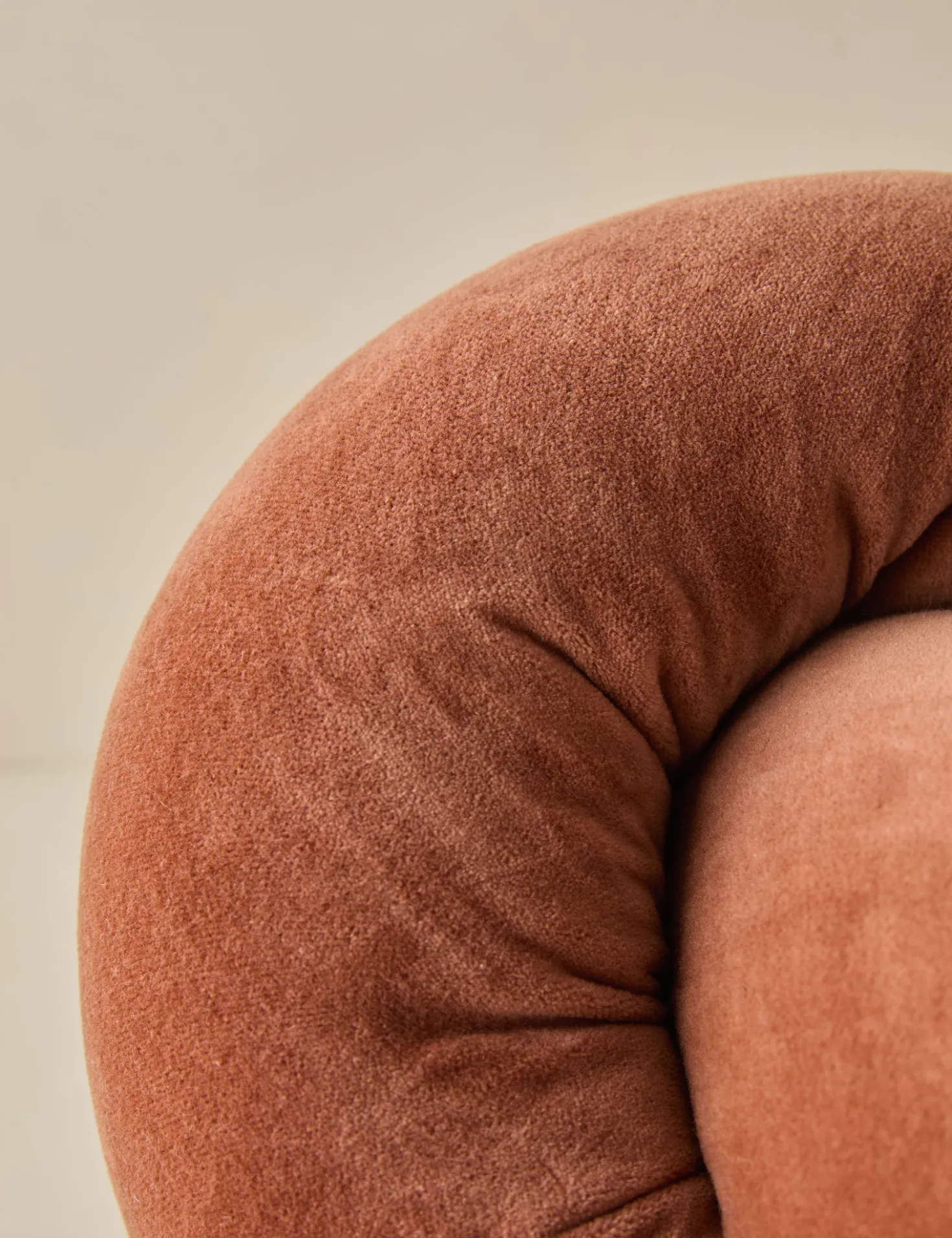 Dewey Velvet Pillow