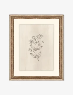 Elegant Botanical VII Wall Art by Makai Howell