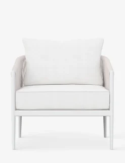Esparza Indoor / Outdoor Accent Chair