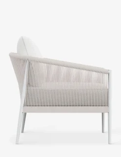 Esparza Indoor / Outdoor Accent Chair